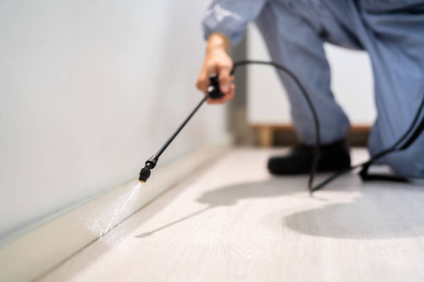 Licensed Pest Control service in Wind Point, WI - Show Me Pest Control