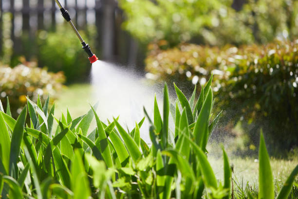 Tamper-Resistant Bait Stations for Rodents in Wind Point