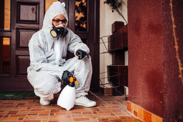 Attic and Crawl Space Rodent Treatment in Wind Point