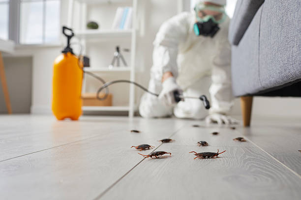 Commercial Rodent Management in Wind Point